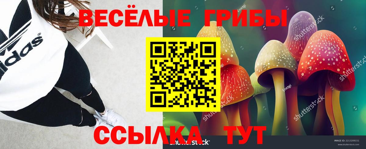 Псилоцибиновые грибы Cubensis  Вход с VPN  Галлюциногенные грибы MAGIC MUSHROOMS  Вологда 