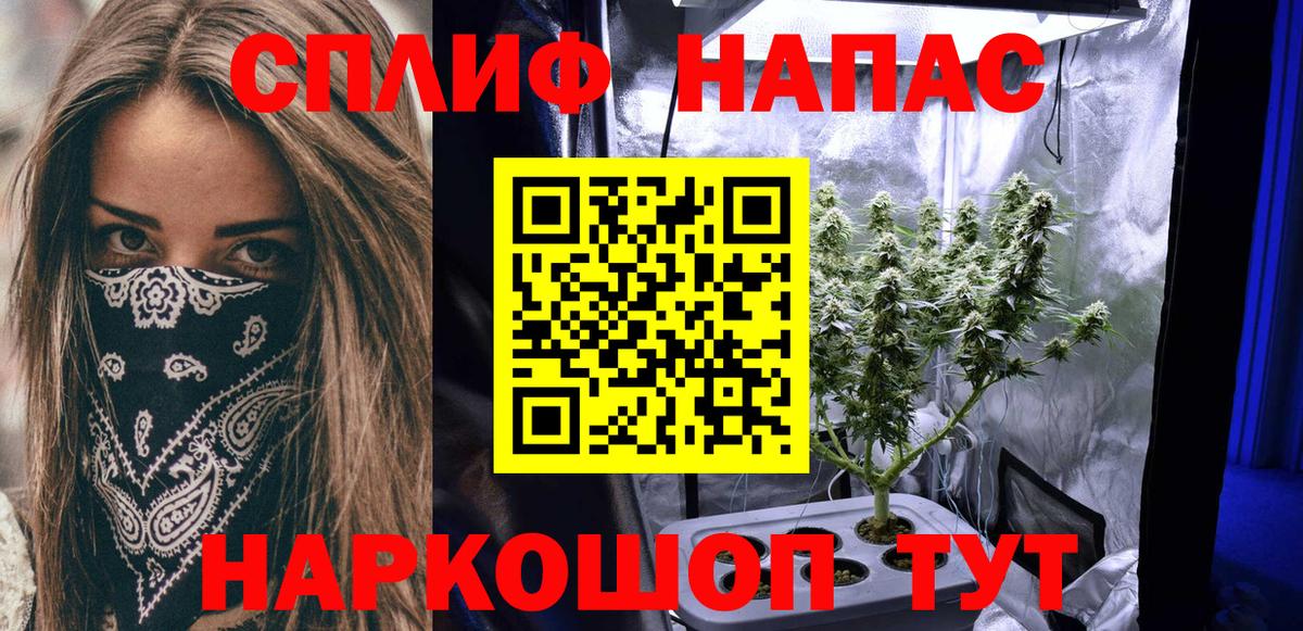 Канабис MAZAR  Вход с VPN  Вологда  Марихуана индика  Бошки марихуана AK-47  МАРИХУАНА ГИДРОПОН 
